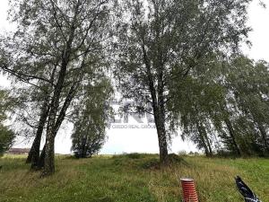Prodej komerčního pozemku, Lučina, 2602 m2