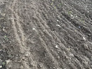 Prodej pole, Radostín nad Oslavou, 20836 m2