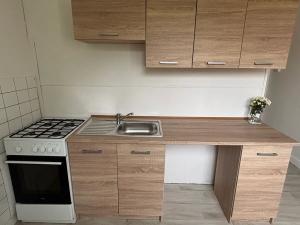 Pronájem bytu 2+1, Frýdek-Místek, Bavlnářská, 62 m2