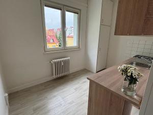 Pronájem bytu 2+1, Frýdek-Místek, Bavlnářská, 62 m2