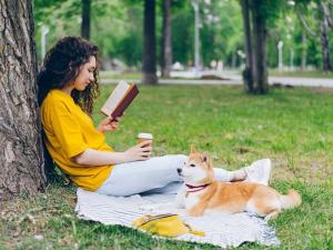 Prodej bytu 2+1, Praha - Hostivař, U Pekáren, 91 m2