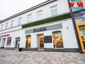Pronájem obchodního prostoru, Pardubice - Zelené Předměstí, 17. listopadu, 96 m2