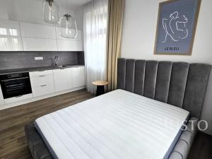 Pronájem bytu 1+1, Písek, Vladislavova, 38 m2