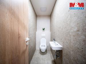 Prodej bytu 3+kk, Brandýs nad Labem-Stará Boleslav, Dřevčická, 152 m2