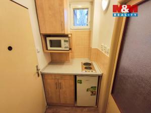 Pronájem bytu 1+kk, Ostrava - Moravská Ostrava, Vítězná, 26 m2