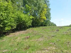 Prodej lesa, Vyskytná, 1907 m2