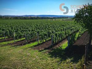 Prodej sadu/vinice, Březí, 15935 m2
