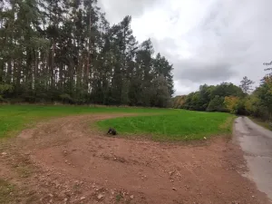 Prodej lesa, Nečín, 44533 m2