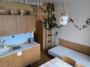 Prodej bytu 1+1, Cheb, Matěje Kopeckého, 44 m2