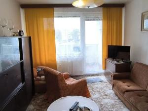 Prodej bytu 1+1, Cheb, Matěje Kopeckého, 44 m2