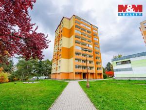 Prodej bytu 1+1, Žďár nad Sázavou - Žďár nad Sázavou 6, Haškova, 35 m2
