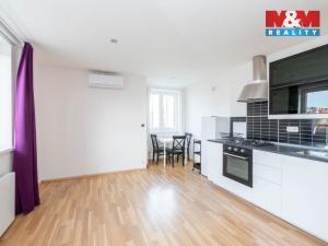 Pronájem bytu 2+kk, Praha - Břevnov, Patočkova, 45 m2