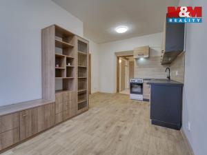 Prodej bytu 2+kk, Plzeň - Lobzy, Masarykova, 41 m2