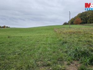 Prodej louky, Jedlí, 7881 m2