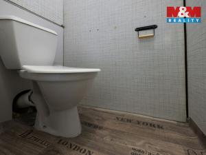 Pronájem bytu 1+1, Plzeň - Severní Předměstí, Sokolovská, 36 m2