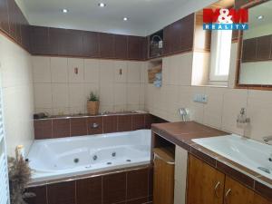 Pronájem bytu 2+kk, Drahobudice, 94 m2