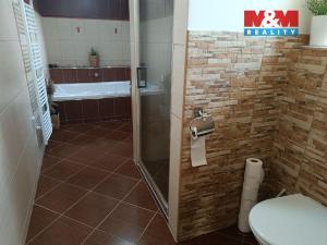 Pronájem bytu 2+kk, Drahobudice, 94 m2