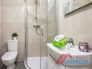 Pronájem bytu 1+1, Slaný, Rabasova, 28 m2