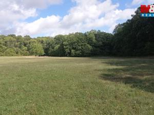 Prodej louky, Jenčice, 16692 m2