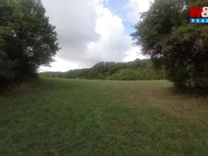 Prodej louky, Jenčice, 16692 m2