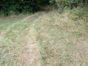 Prodej louky, Jenčice, 16692 m2