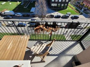 Pronájem bytu 2+1, Brno, Botanická, 70 m2
