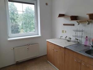 Pronájem bytu 1+kk, Jeseník, Křižkovského, 40 m2