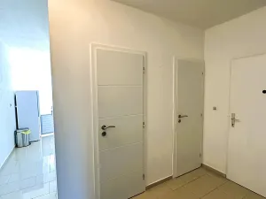 Pronájem bytu 2+1, Brno, Palackého třída, 50 m2
