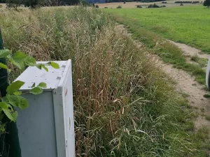 Prodej pozemku pro bydlení, Radomyšl, 8500 m2