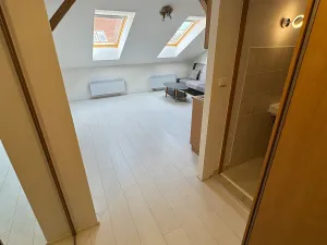 Pronájem bytu 1+kk, Praha - Vinohrady, Lublaňská, 32 m2