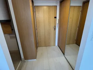 Pronájem bytu 1+kk, Praha - Vinohrady, Lublaňská, 32 m2