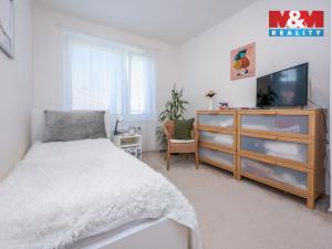 Pronájem bytu 4+1, Olomouc - Nová Ulice, Boženy Němcové, 100 m2