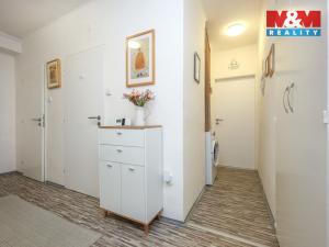 Pronájem bytu 4+1, Olomouc - Nová Ulice, Boženy Němcové, 100 m2