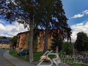 Pronájem bytu 1+1, Železná Ruda, U Řezné, 40 m2