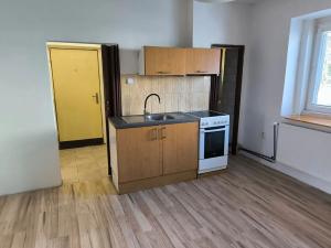 Pronájem bytu 1+1, Chabařovice, 40 m2