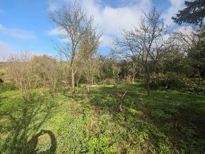 Prodej rodinného domu, Zdounky, 160 m2