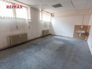 Prodej obchodního prostoru, Město Albrechtice, Míru, 1427 m2