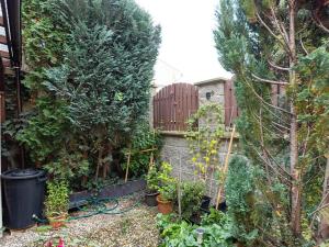 Prodej rodinného domu, Brno, 118 m2