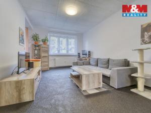 Prodej bytu 1+1, Habartov, Raisova, 50 m2