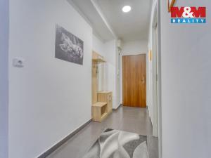 Prodej bytu 1+1, Habartov, Raisova, 50 m2