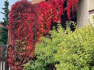 Prodej rodinného domu, Dobřejovice, Nad Mlýnským Rybníkem, 180 m2