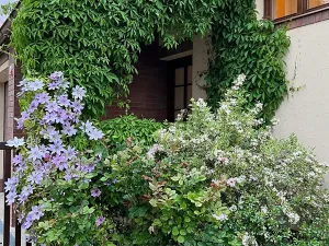 Prodej rodinného domu, Dobřejovice, Nad Mlýnským Rybníkem, 180 m2