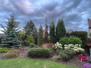 Prodej rodinného domu, Dobřejovice, Nad Mlýnským Rybníkem, 180 m2