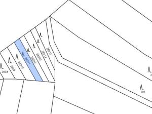 Prodej lesa, Mysletice, 7177 m2
