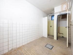 Prodej obchodního prostoru, Praha - Braník, Zelený pruh, 143 m2