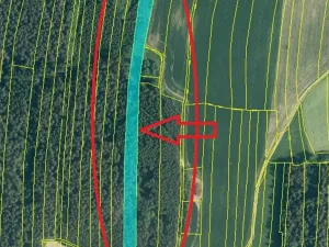 Prodej lesa, Ločenice, 16414 m2