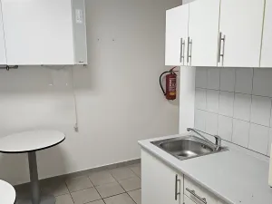 Pronájem kanceláře, Průhonice, Říčanská, 120 m2