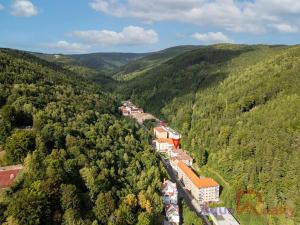 Prodej bytu 1+kk, Jáchymov, K Lanovce, 31 m2