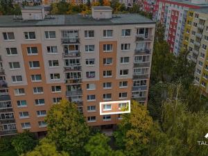 Prodej bytu 1+1, Plzeň, Komenského, 36 m2