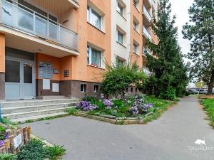 Prodej bytu 1+1, Plzeň, Komenského, 36 m2